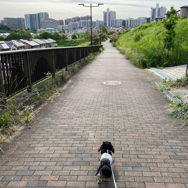 90eeaa65 aa01 4cf4 9aa4 9432fbbc35fe 1685055344751