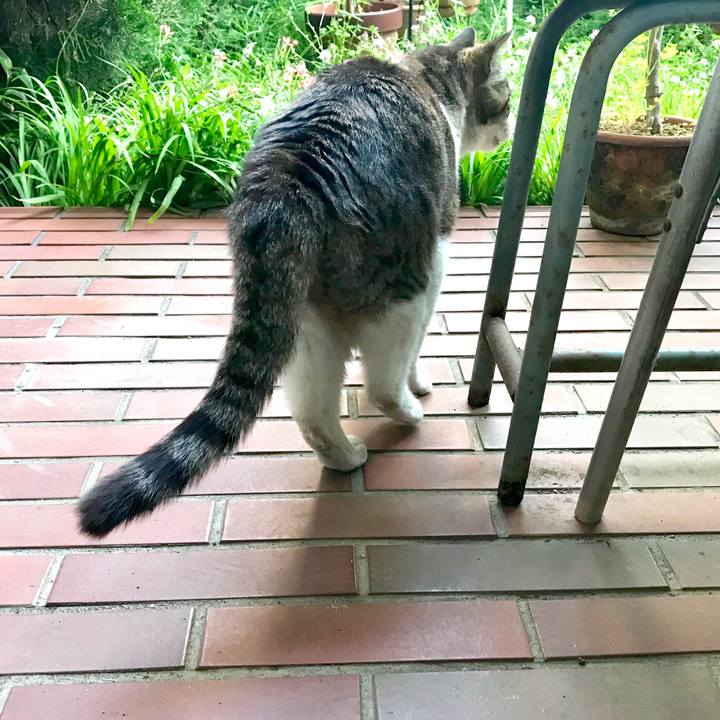 90eeae83 aea4 476d 9dc8 2d17687410db 1559203776068