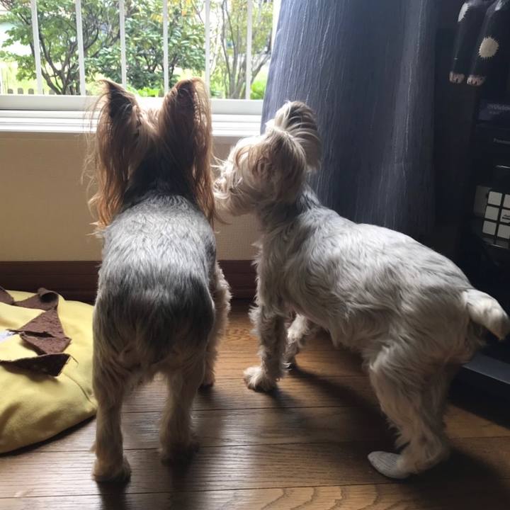 90ef1ea4 30d7 4b55 9eea 17002de6b2c5 1567070753134