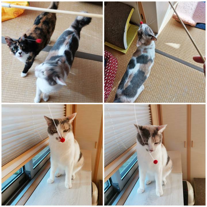 90ef2087 e1db 436f ba7d 45af8bfa55ed 1658891797245