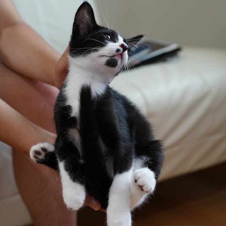 90ef3bae e55b 4930 9fa1 0f0bba94e604 1569900634617