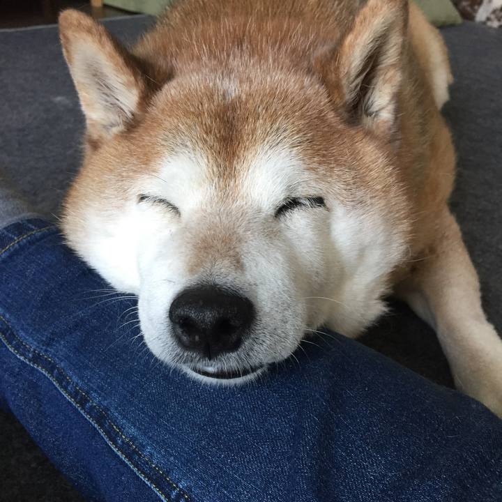 90ef3c9b 8102 4b05 9c89 7d94b1deeecf 1555731166516