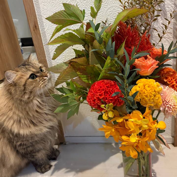 90ef4225 57df 48fd bc69 87cfb87c4e49 1760798257409