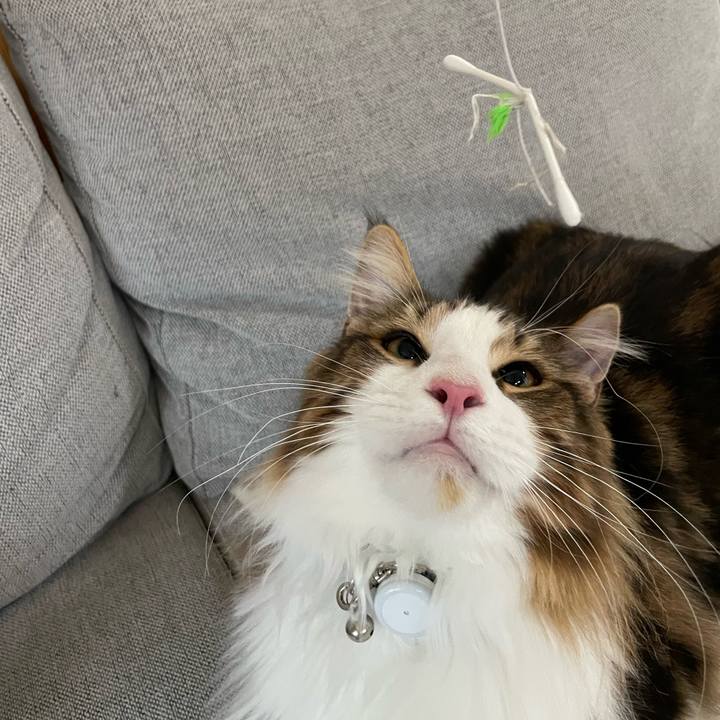 90ef4648 22c8 4532 9a0a 1af0391843bd 1649799269341