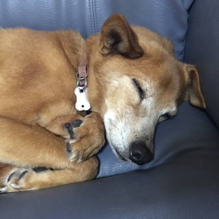 90ef49a2 79ef 4e3b b31f b3f881846860 1512492150921