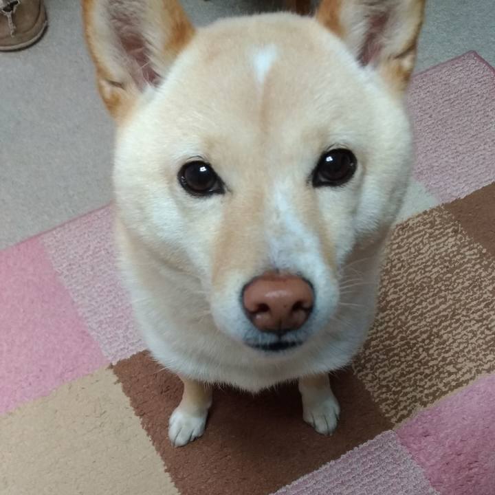 90ef531f abf2 40c9 9ae4 1386412b53cd 1586645622693