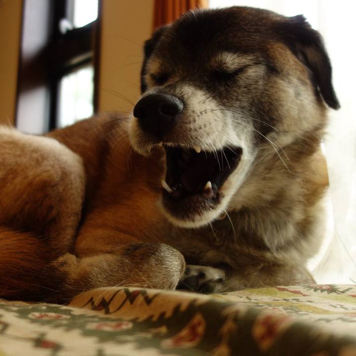 90ef7305 28b1 41a9 b475 1d00c7cae9e8 1616114527352