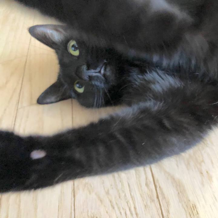 90ef848a 394f 4ed3 92ad 6795a0268ad1 1575089164854