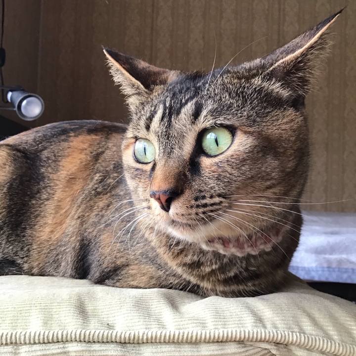 90ef84dc 69e7 4798 9b69 fe4c5384350c 1655716731813