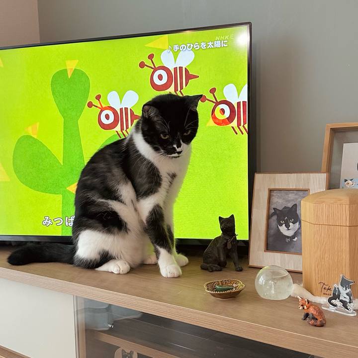 90ef9466 2f27 4bee 8cfe 51695d4747b2 1759448804638