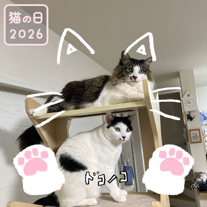 90efb05d db6b 4e00 aac8 8819e3960ace 1771768025391