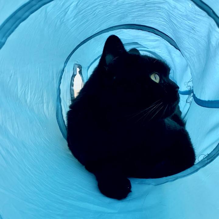 90eff0e5 6ca4 4ff0 a778 5d0d22274733 1693108976042