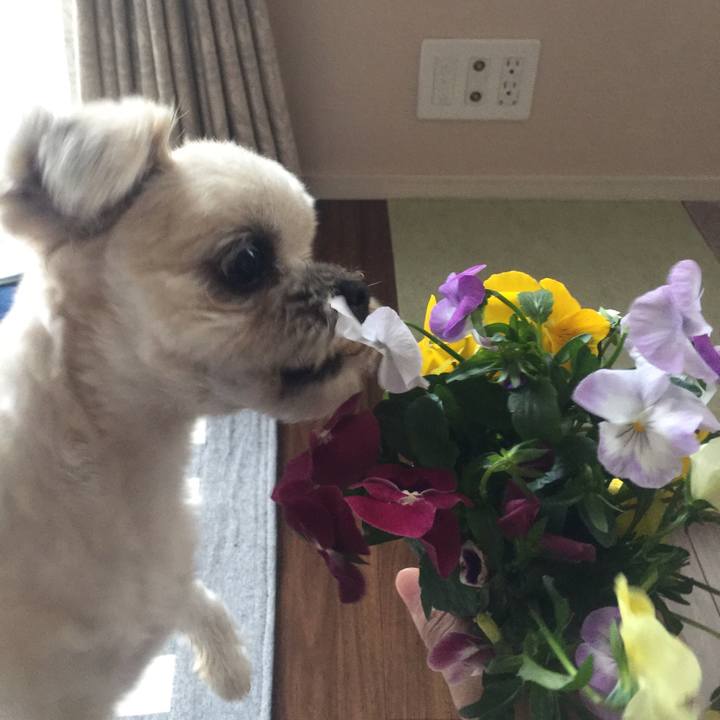 90eff423 cbdc 4613 83ca 5504267366e3 1526196077180