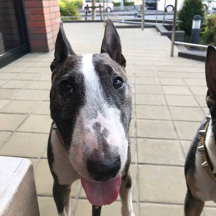 90f0deaf d2f1 4150 bb75 87312b2bca8a 1528017623899