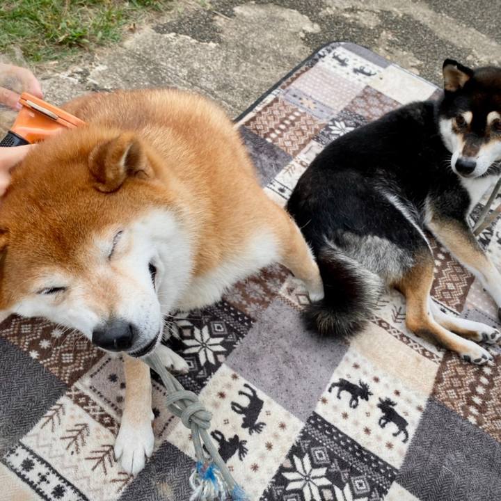 90f12474 ec6f 4128 98c7 21c49be7ccfe 1634469579343