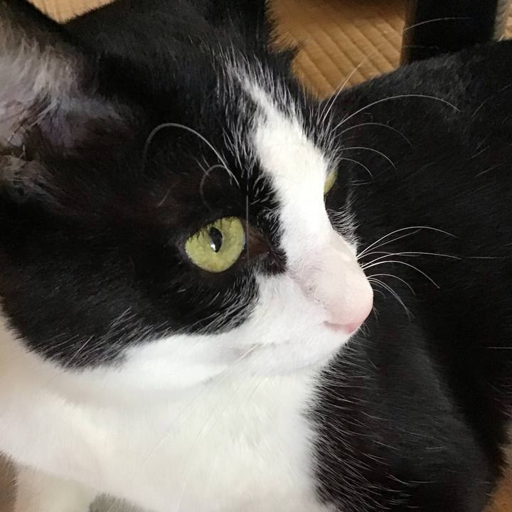 90f13948 98d5 49eb 9109 7b08c2a56cd3 1722761090004