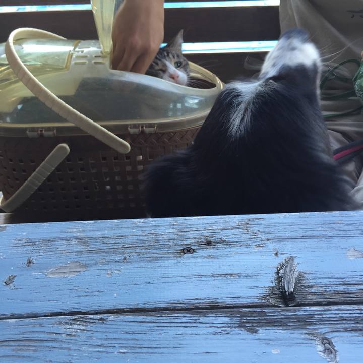 90f1471c 7a14 4c59 938e c266e1a734cc 1538975116578