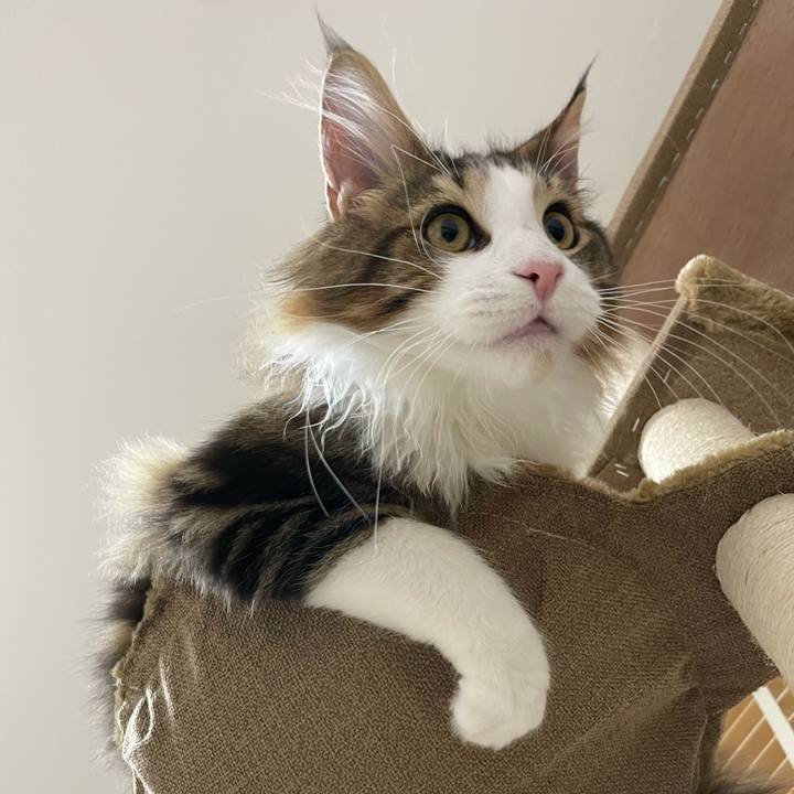 90f149a7 b75f 49a6 b1d7 17b83019be4b 1638605504316