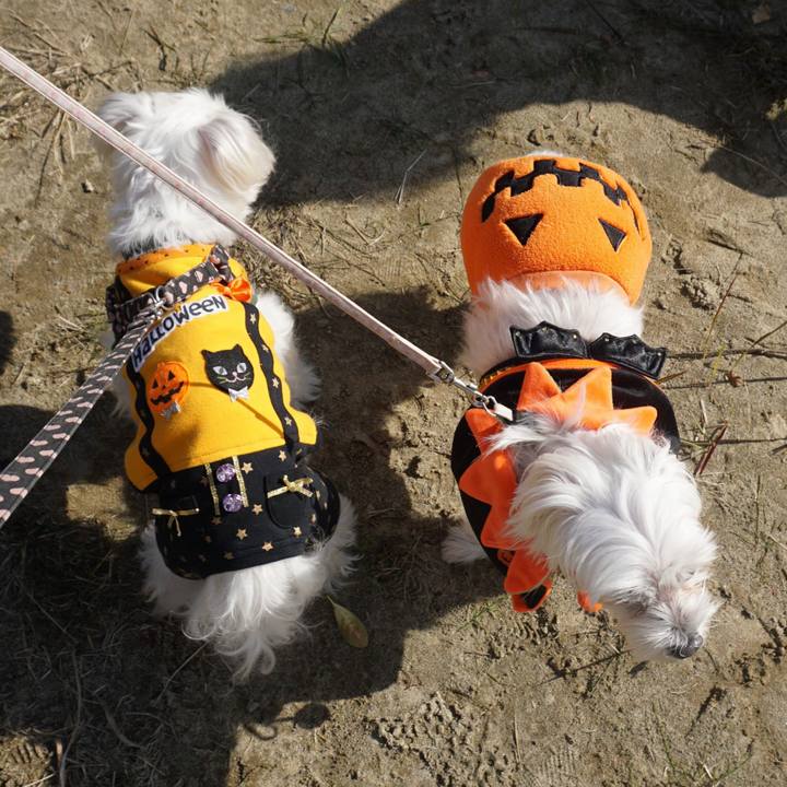 90f15192 13f5 4b0d a58e e6b9942b0145 1528547781444