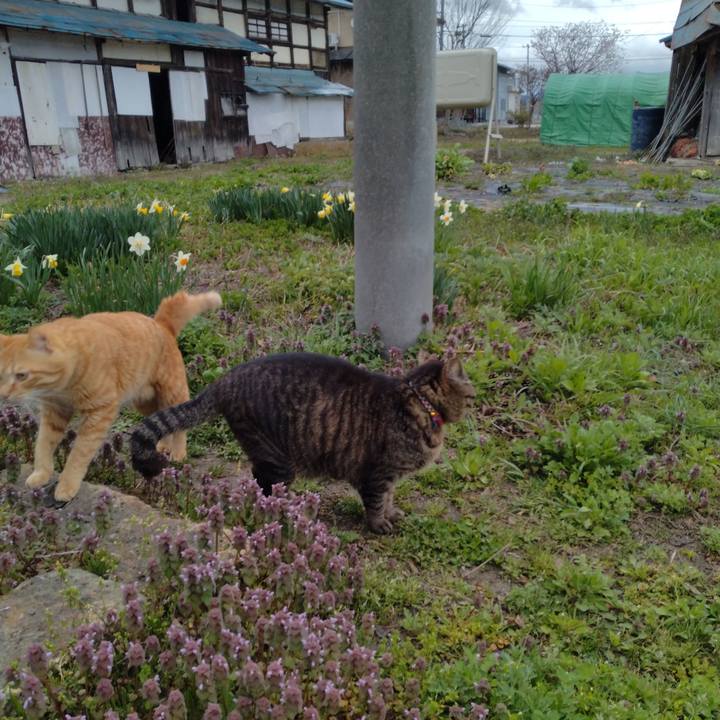 90f17282 ae7f 4430 9fa9 f5c47d73622a 1681550363841