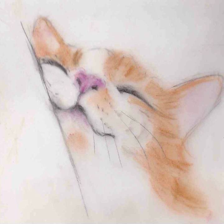 90f17e22 5ef3 4071 ae20 16d3945cbc7a 1647022124293