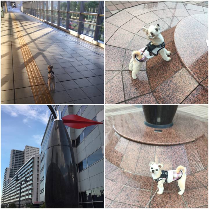 90f19d39 cd88 44b4 bffa 3680d2bc2af6 1565257219058