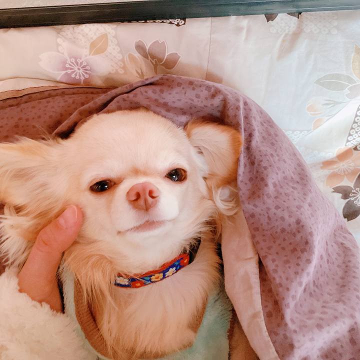 90f1b626 ea91 4dc6 8c2c 6387ad4cdc71 1640907445017