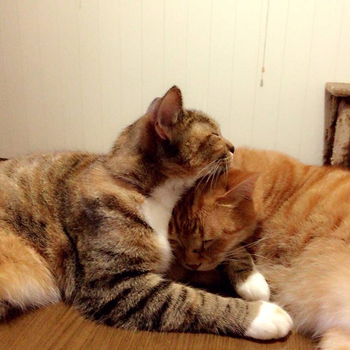 90f1bdb1 1348 4738 b549 b92628eeceb9 1547273884555