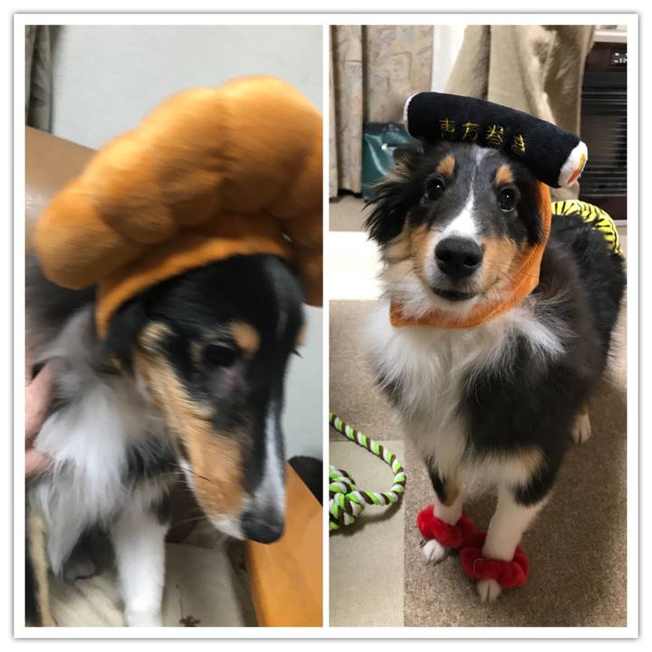 90f1c900 6f3f 4b71 bb56 b0297aa27c85 1517617320369