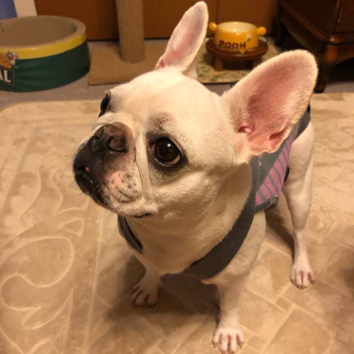 90f1f9d1 dba2 42d0 8d56 ff0533a8e444 1568988865975