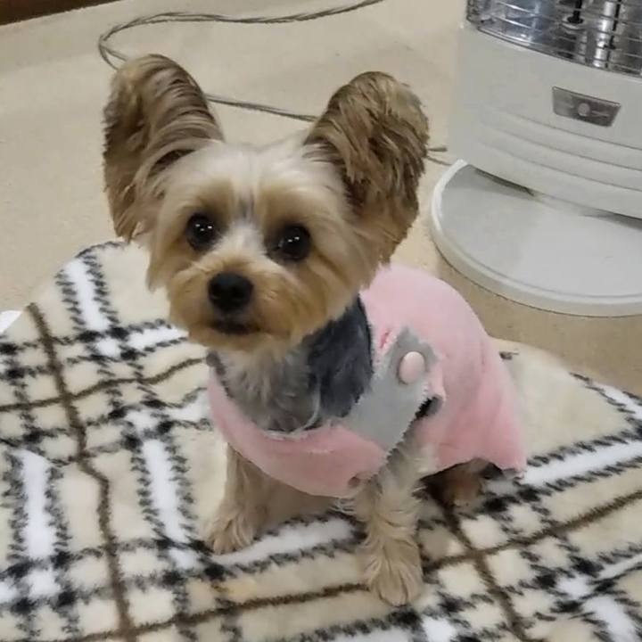 90f20b74 ee1f 475a a7a6 7970c3c6e4ae 1639735427073