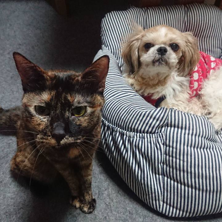 90f28472 1acf 4834 ba4f c693542742b8 1529715805829