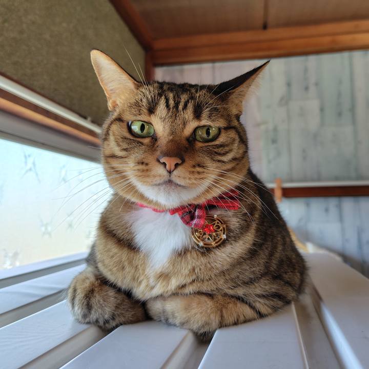 90f309c9 6cf2 4596 9f52 8b364c95c21b 1764945351926