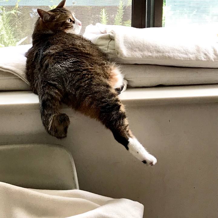 90f32798 7063 4d91 8d3d f8b3a0c867ee 1592109217336