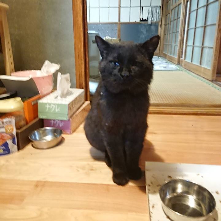 90f335e4 c535 4fcc 9380 26305af7e481 1622461757002