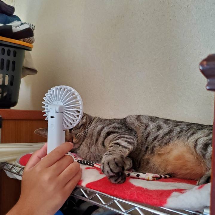 90f34e6e c101 4f3e 901c 12103a845aa6 1721664489130