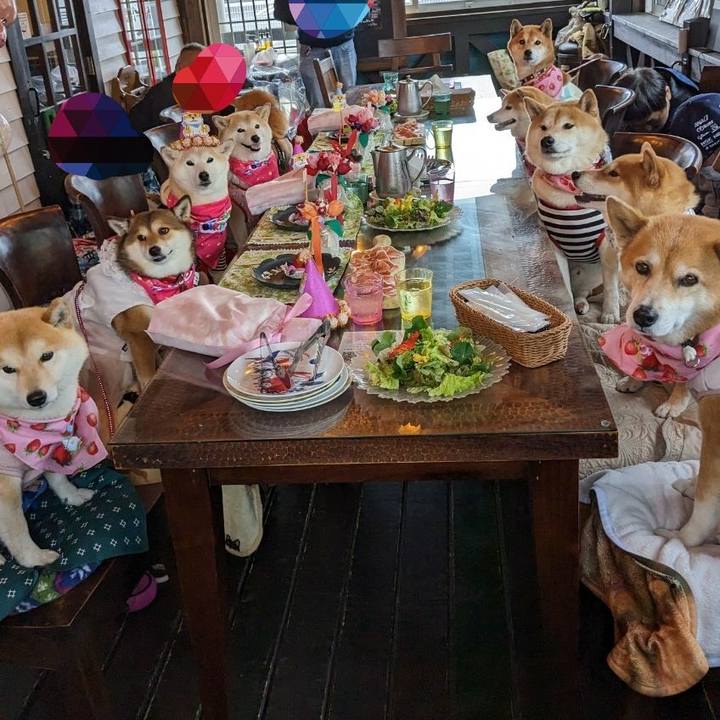 90f39ea8 6410 41a5 8321 9a32dd7abde2 1680964678741