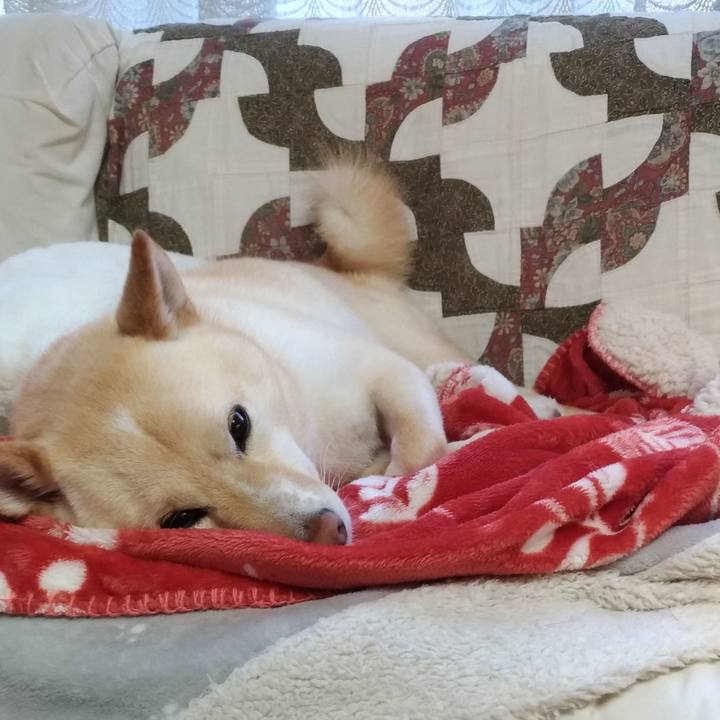 90f3ad5f 83d0 466f a7a4 8fdfb6888878 1580341176939