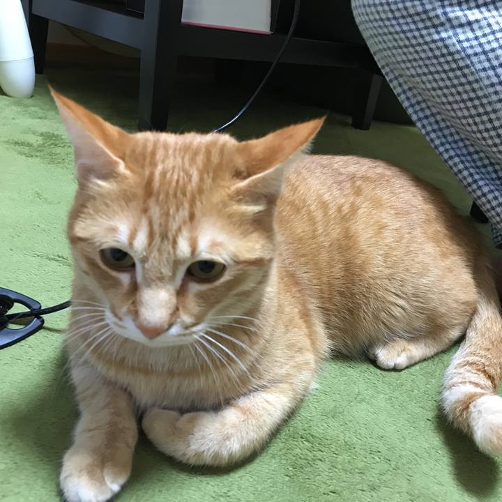 90f3c428 8259 4874 beb5 8a1b0cc0ed57 1518796667309