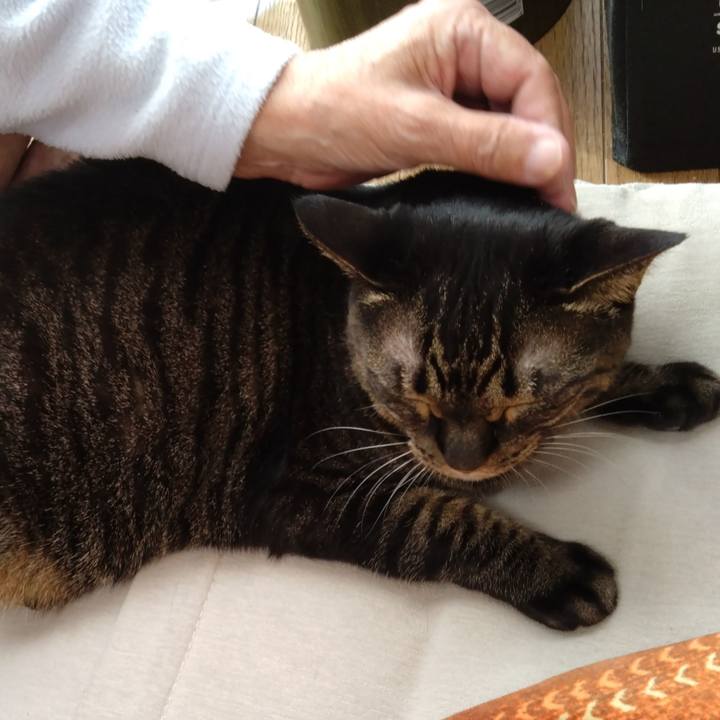 90f3db95 5d87 4e9b be04 f10d1872f307 1771802575906