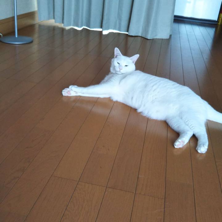 90f3dc07 d30c 4f55 a949 b518a9ecb29b 1565570178904