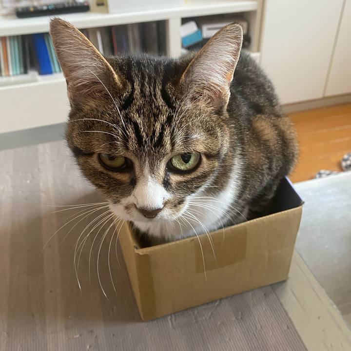 90f3ef56 2c8c 4da8 aff2 a38c7900b085 1652921598637