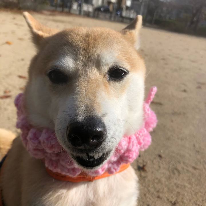 90f3f2df 0d00 4b80 bba3 16a45d3f69d0 1577180674270