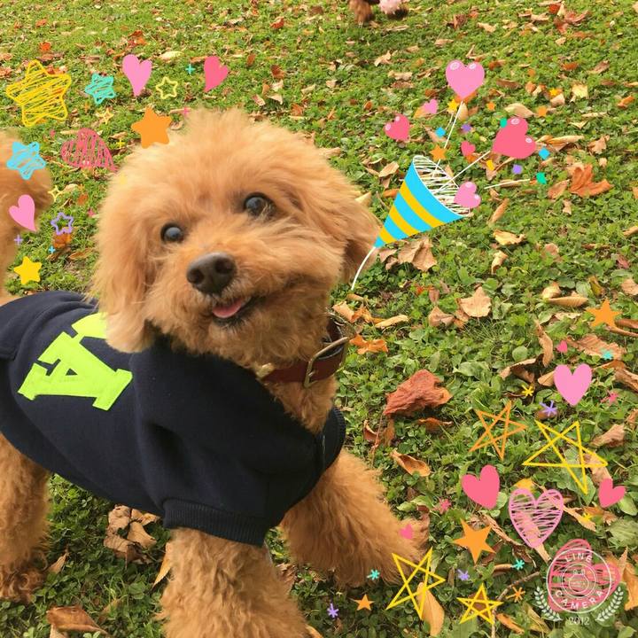 90f3fa52 761a 4a31 ba04 84955807aad8 1514670424858