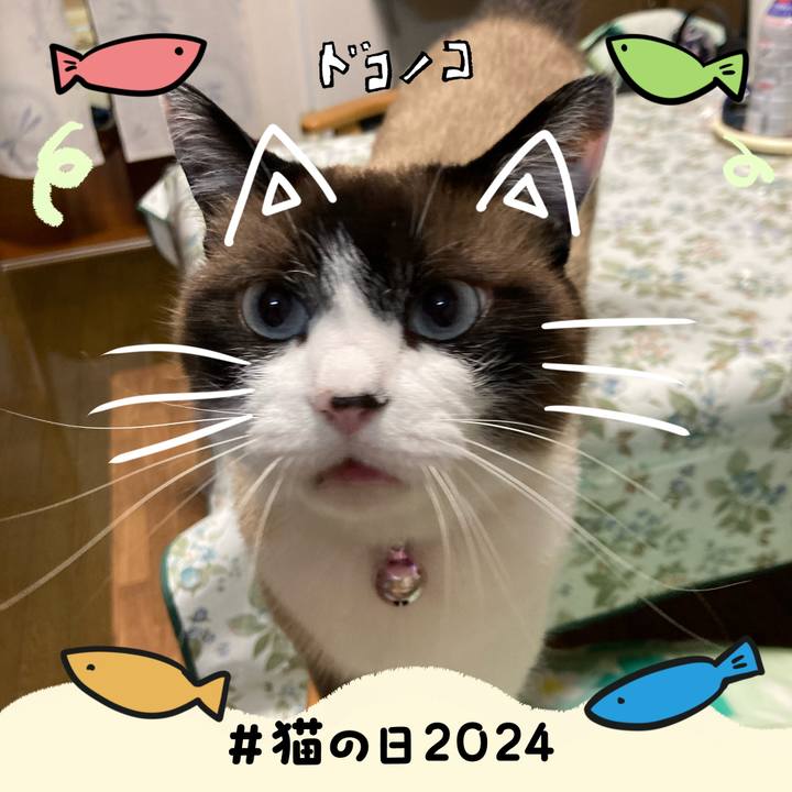 90f3fc7a f68b 4b20 a98d 67359d1715be 1708600821965