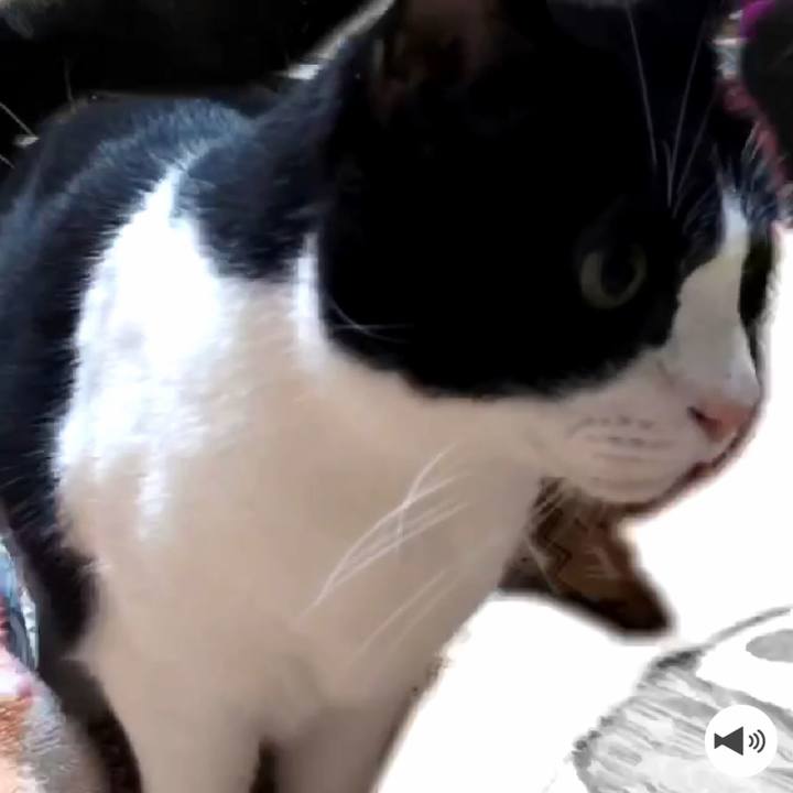 90f409f8 0d7c 4339 a33e 9264802eb96a 1573120689719