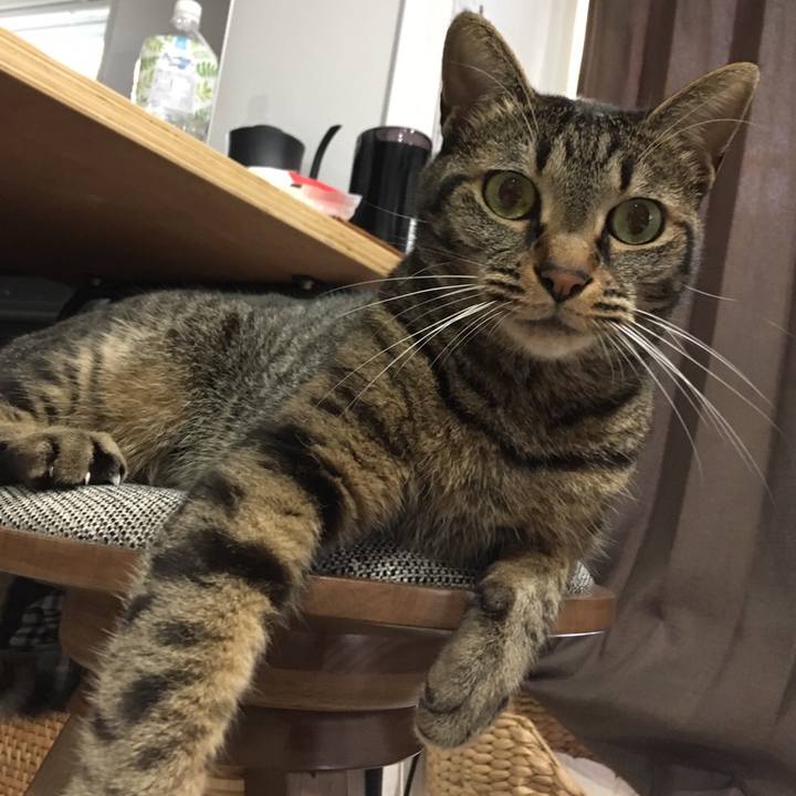 90f43f26 9a00 433f babc 605349f420a6 1565960356808