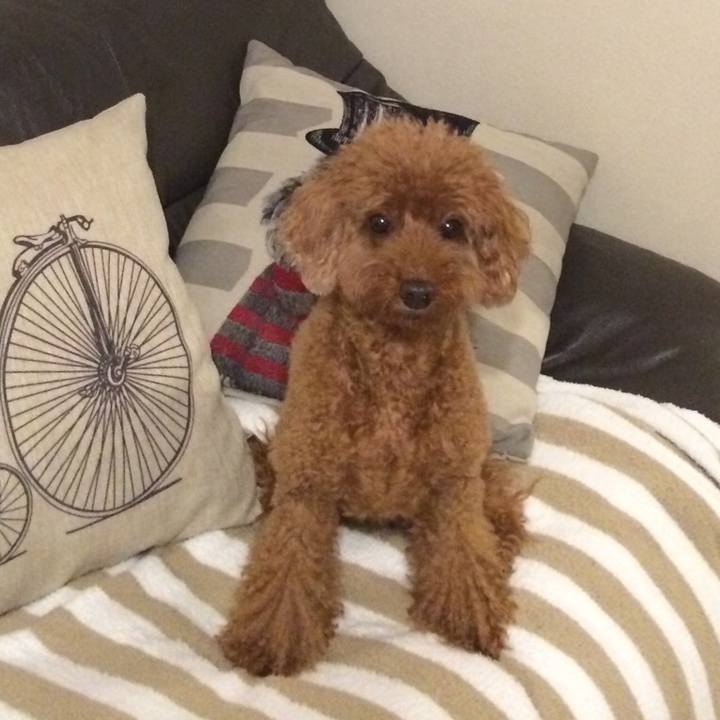 90f466bd b78d 4700 81a0 0e2f970b83c3 1544963150995