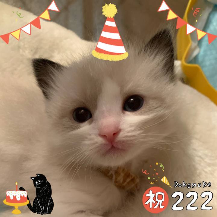 90f4bd08 ff0a 417c 83b7 281b88114ad1 1645496008918