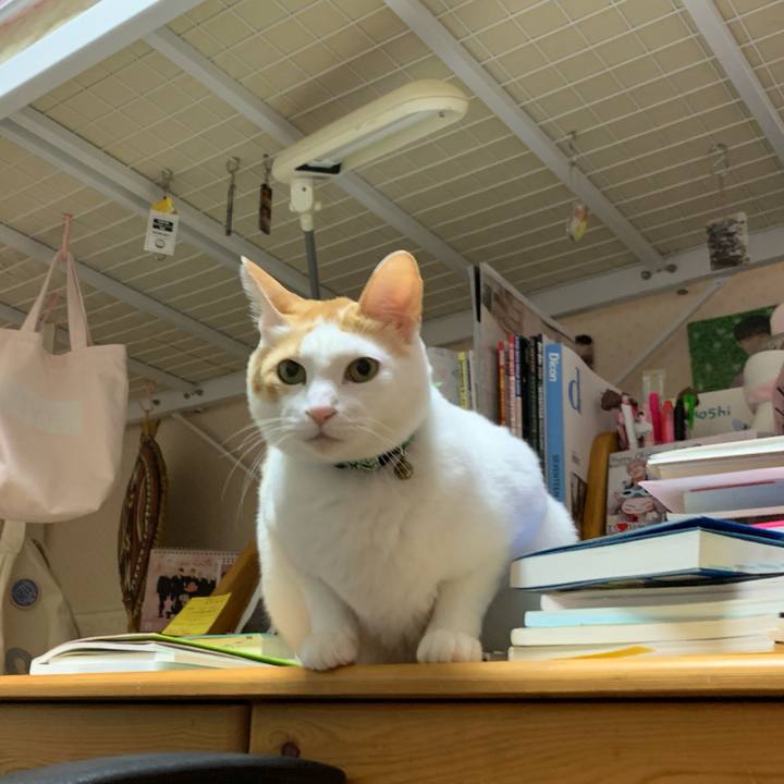 90f4ccab fbe6 46d1 b54d d2a37123be3b 1577657904369